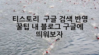 티스토리 🚀 구글 검색 반영 꿀팁🍯: 내 블로그, 구글에 띄워보자!